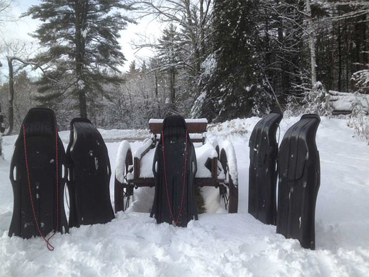 SLEDS-AND-WAGON-LABEL-REMOVED